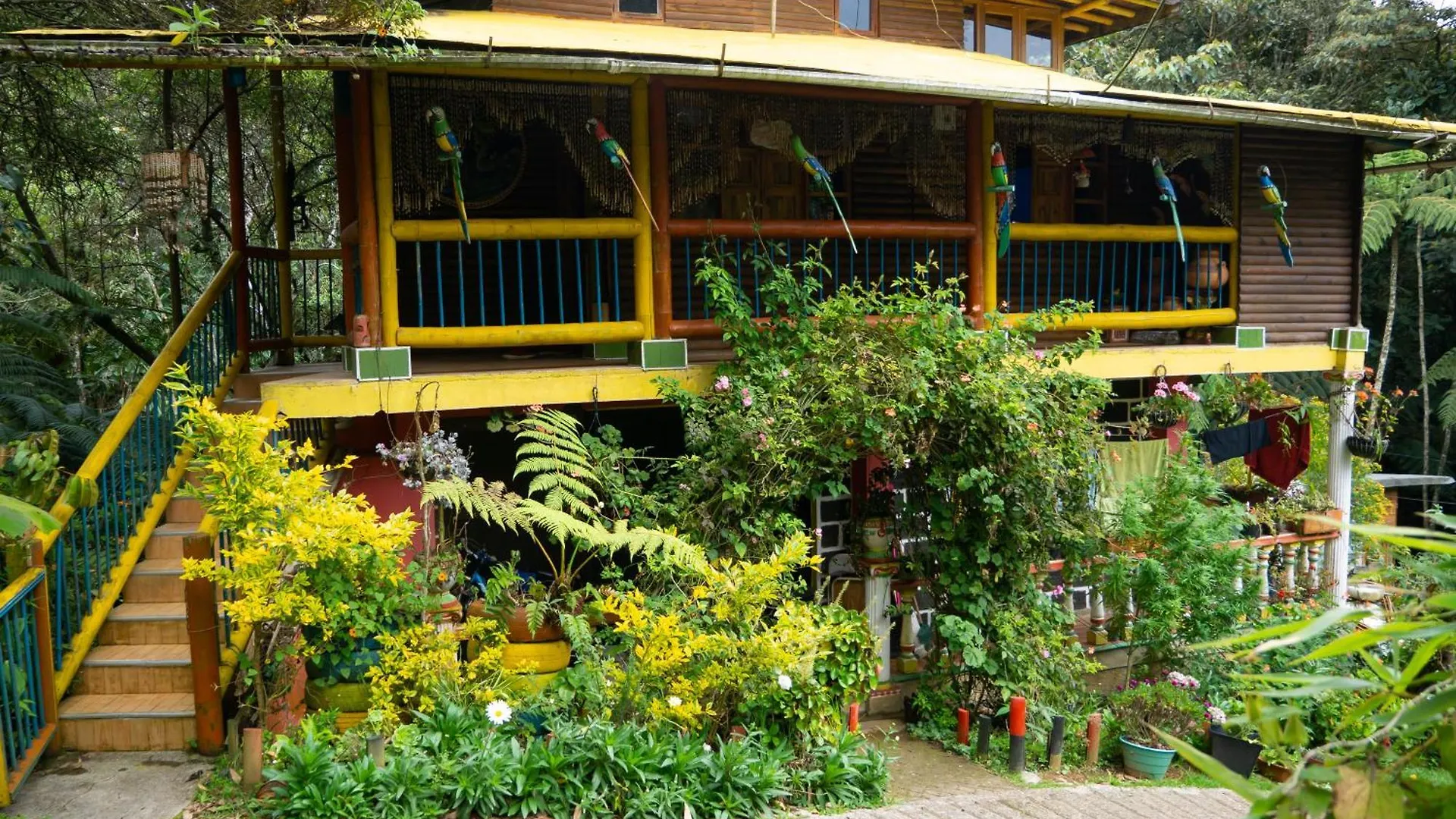 Habitacion En Hospedaje Campestre Compartido Tipo Hostal En Santa Elena Cerca A Medellin Y Aeropuerto Jmc - Cabana Aru Colombia